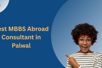 Best MBBS Abroad Consultant in Palwal